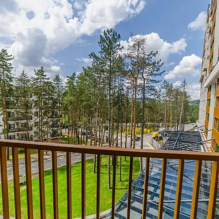 Albero Pino 兹拉蒂博尔